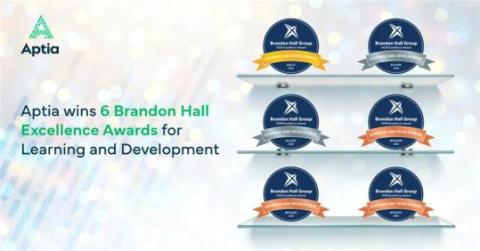 6 Brandon Hall Excellence Awards